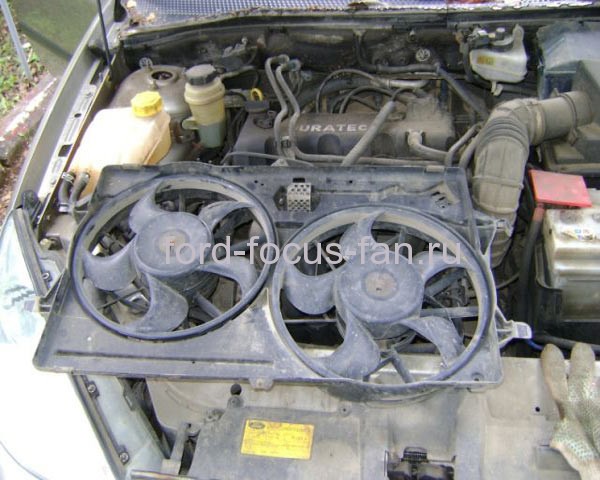 Check-vinelatora-Ford Focus-2